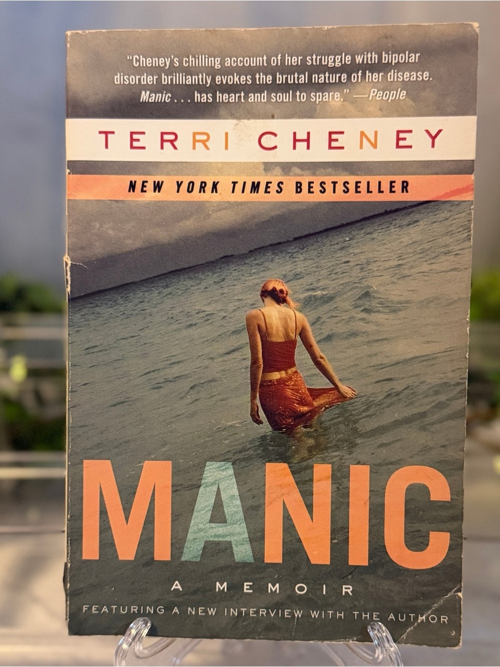 Manic A Memoir by Terri Cheney Paperback Bipolar Mental Health Memoir